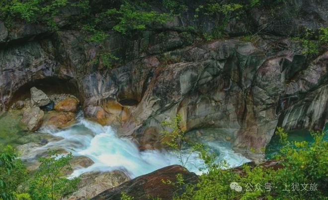己!赴一场上犹的治愈之约AG真人游戏平台爱你老(图5) 己!赴一场上犹的治愈之约AG真人游戏平台爱你老(图5)