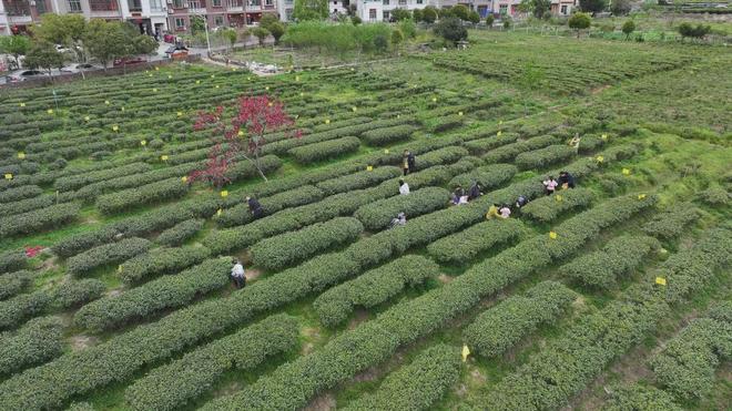 己！赴一场上犹的治愈之约AG真人游戏平台爱你老(图13)